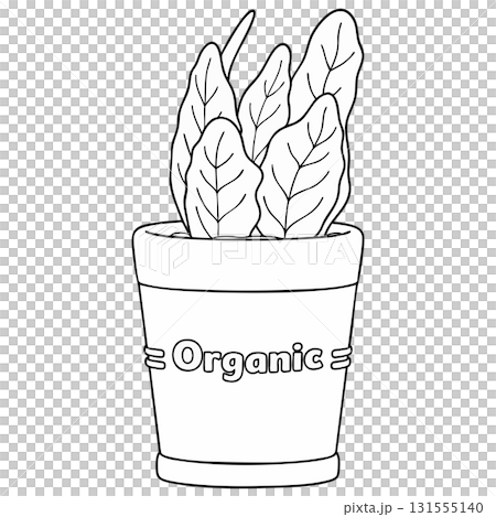 Simple Organic Potted Houseplant Outline - Minimalist Line Art on Transparent Background 131555140