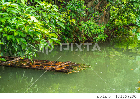 川 大井川 箒川 131555230