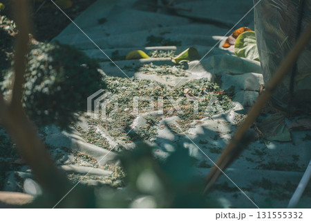 Japanese Gardener Japanese Gardener 131555332