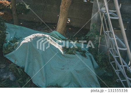Japanese Gardener 131555336