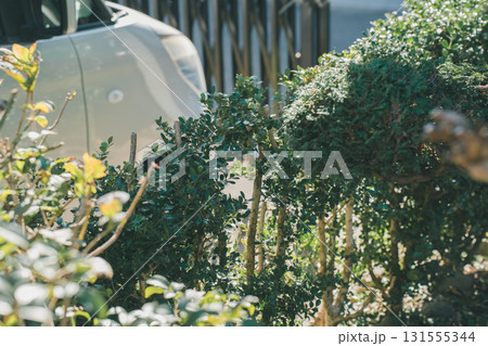 Japanese Gardener Japanese Gardener 131555344