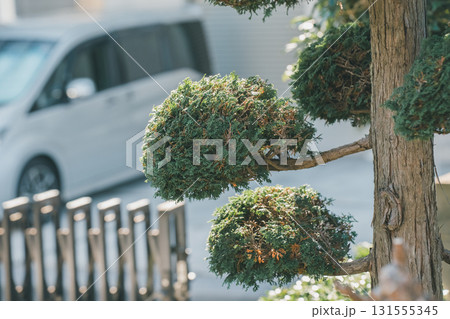 Japanese Gardener 131555345