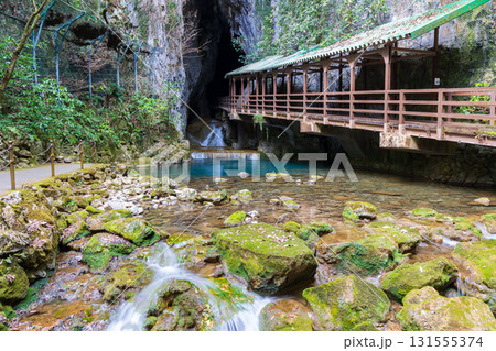 日本三大鍾乳洞　山口県美祢市　秋芳洞　入口 131555374