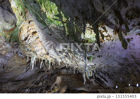 日本三大鍾乳洞 山口県美祢市 秋芳洞 傘づくし 日本三大鍾乳洞 山口県美祢市 秋芳洞 傘づくし 131555403