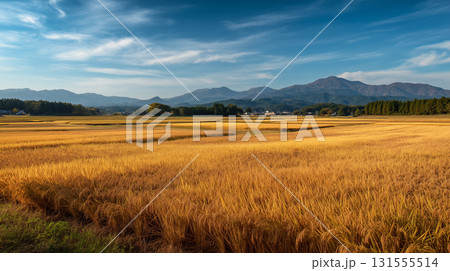 秋晴れの里山風景｜稲刈り後の田んぼと山並み 131555514