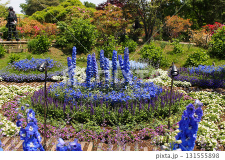 青の花壇 春 青の花壇 春 131555898