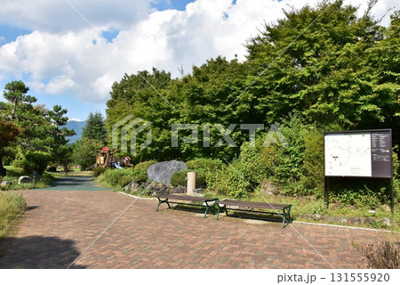 山中湖花の都公園 清流の里散策路と夏空 山中湖花の都公園 清流の里散策路と夏空 131555920