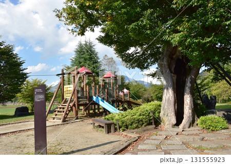 山中湖花の都公園　清流の里のしあわせの木と遊具 131555923