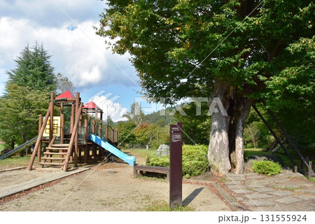 山中湖花の都公園　清流の里のしあわせの木と遊具 131555924