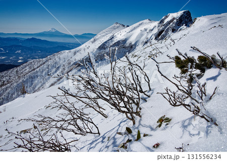 冬の八ヶ岳連峰・横岳主峰と富士山 131556234