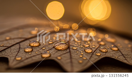 Macro shot of glistening water droplets adorning a dried autumnal leaf, reflecting warm golden bokeh lights for a serene, natural mood 131556245