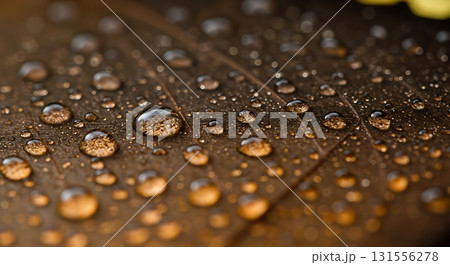 Sparkling water droplets grace a textured brown surface, creating a mesmerizing macro view of nature's intricate beauty and refreshing purity. 131556278