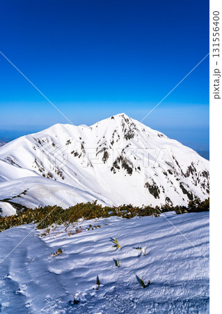 雷鳥沢の登山道から見る奥大日岳 残雪期の北アルプス奥大日岳登山 雷鳥沢の登山道から見る奥大日岳 残雪期の北アルプス奥大日岳登山 131556400