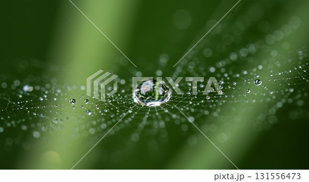 Stunning macro capture of dew drops glistening on an intricate spider web, showcasing nature's delicate artistry and morning freshness 131556473