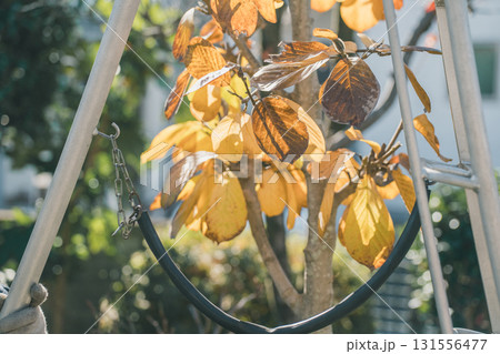 Japanese Gardener 131556477