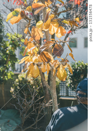 Japanese Gardener Japanese Gardener 131556478