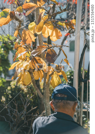 Japanese Gardener Japanese Gardener 131556480