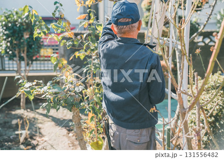 Japanese Gardener 131556482