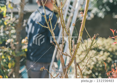 Japanese Gardener 131556483