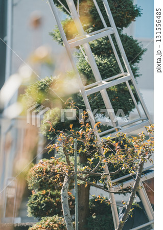 Japanese Gardener 131556485