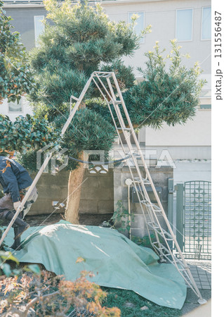 Japanese Gardener Japanese Gardener 131556487