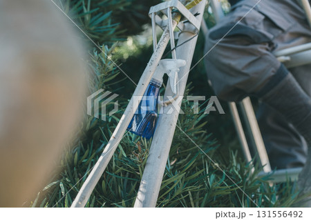 Japanese Gardener 131556492