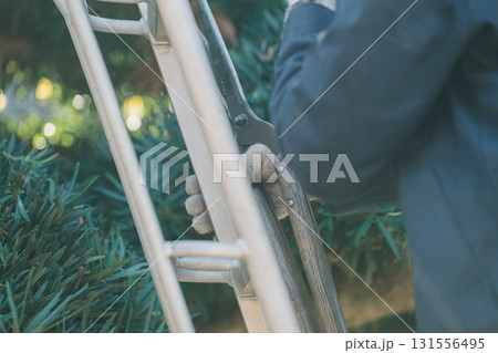 Japanese Gardener 131556495