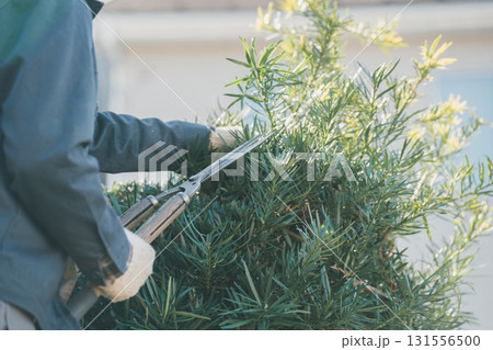 Japanese Gardener 131556500