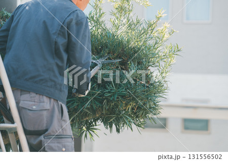 Japanese Gardener 131556502