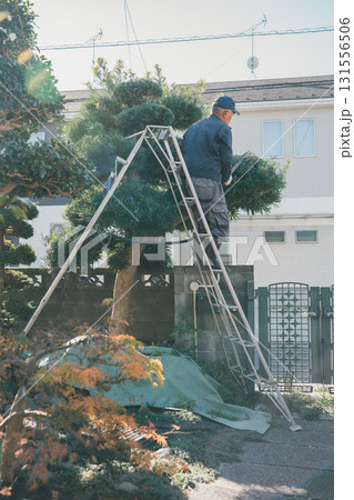 Japanese Gardener Japanese Gardener 131556506
