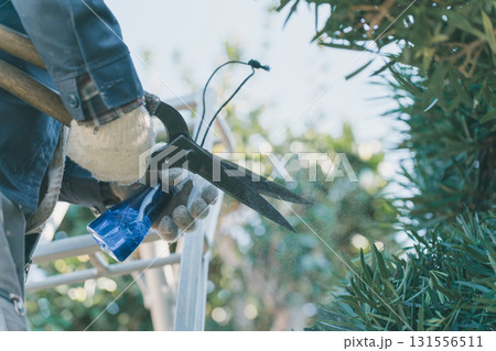 Japanese Gardener Japanese Gardener 131556511