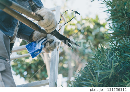 Japanese Gardener 131556512