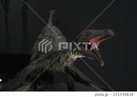 福井県 恐竜博物館 福井県 恐竜博物館 131556616