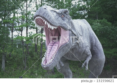 福井県 恐竜博物館 福井県 恐竜博物館 131556621