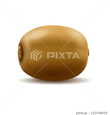 Whole kiwi fruit isolated on white background. Realistic vector illustration Whole kiwi fruit isolated on white background. Realistic vector illustration 131556629