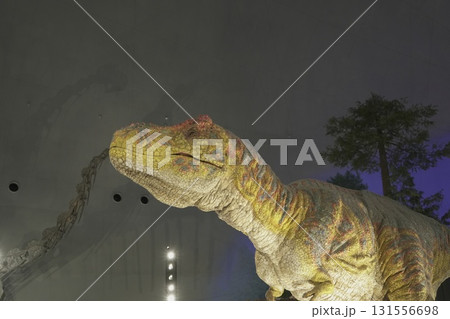 福井県　恐竜博物館 131556698