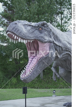 福井県 恐竜博物館 福井県 恐竜博物館 131556815