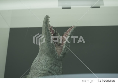 福井県 恐竜博物館 福井県 恐竜博物館 131556830