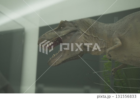 福井県　恐竜博物館 131556833