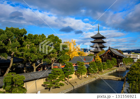東寺の五重塔と紅葉 東寺の五重塔と紅葉 131556921