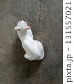 White Cat Sitting on Concrete Floor 131557021