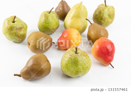 いろいろな洋梨 131557461