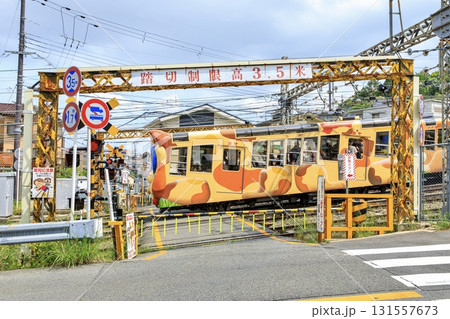 生駒ケーブル、日本で唯一車で渡れる鳥居前第三号踏切を行くコ11形客車ミケ 131557673