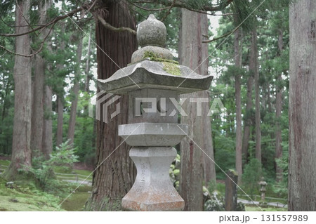 福井県の平泉寺白山神社の風景 福井県の平泉寺白山神社の風景 131557989