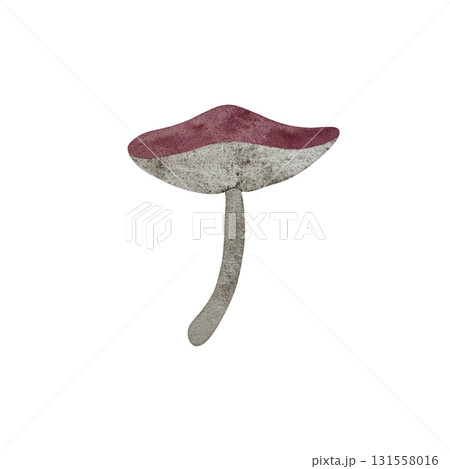Watercolor pink mushroom. Mushroom with pink cap and gray stem isolated on white background. Watercolor pink mushroom. Mushroom with pink cap and gray stem isolated on white background. 131558016