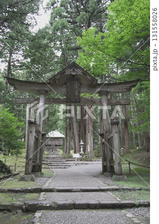 福井県の平泉寺白山神社の風景 福井県の平泉寺白山神社の風景 131558026