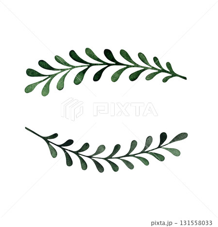 Watercolor green leaves set. Collection of green leaves and branches isolated on white background. 131558033