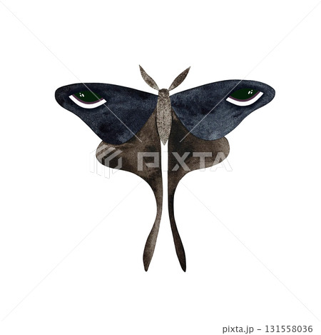 Watercolor blue brown moth. Stylized blue brown moth with eyes on wings isolated on white. 131558036