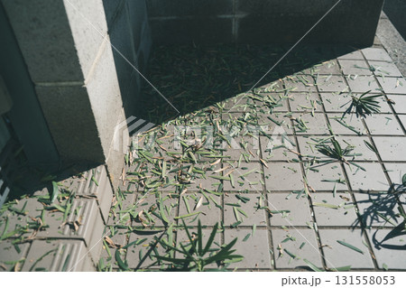 Japanese Gardener 131558053