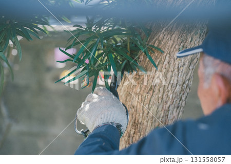 Japanese Gardener 131558057